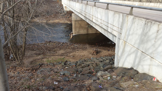 Schuylkill Bridge