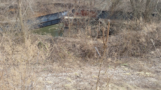 tracks in river