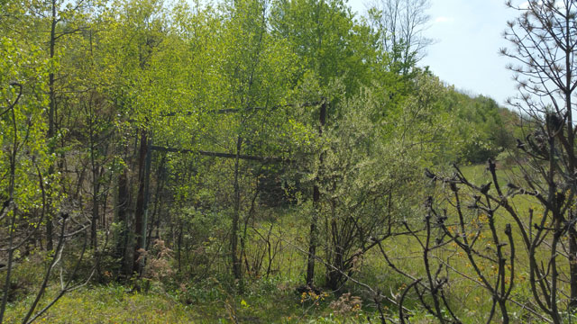 Centralia, PA - Rear of Baseball Diamond Backstop Off Park St