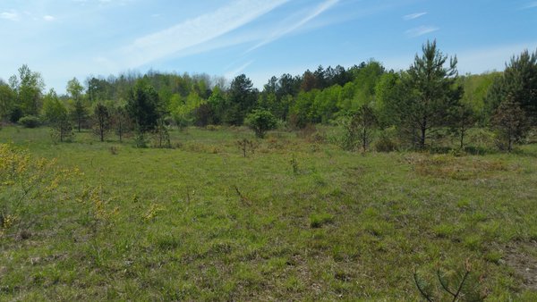 Centralia, PA - Baseball Field - Park