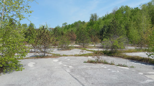 Centralia, PA - Basketball Courts Overgrown