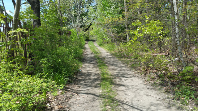 Centralia, PA - Trail Behind Odd Fellows Cemetery