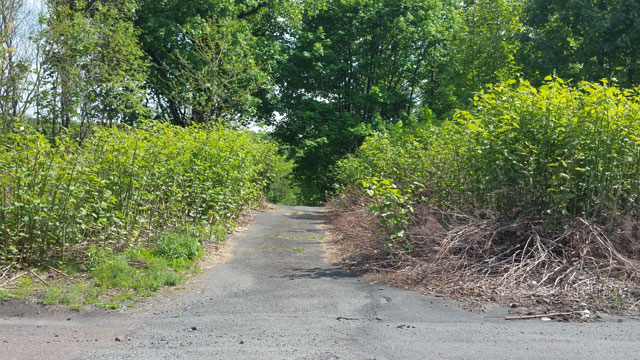 Centralia, PA - Old Drive