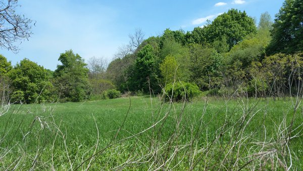 Centralia, PA - Empty Lot Above Stone Wall and Steps