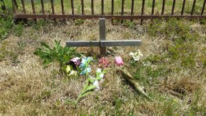 Centralia, PA - Pet's Grave Outside Odd Fellows Cemetery