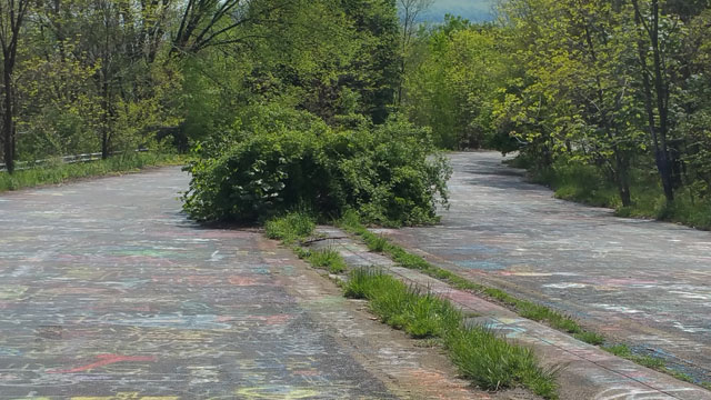 Centralia, PA - Abandoned Highway - Rt 61 - Bush