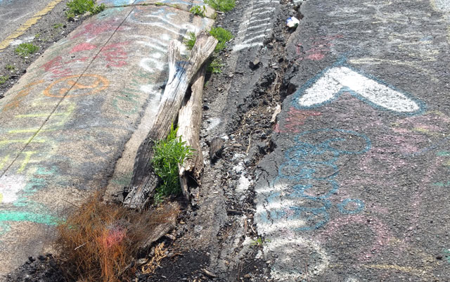 Centralia, PA - Abandoned Highway - Rt 61 - Crack - Burnt Logs