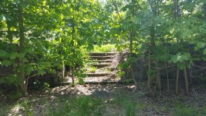 Centralia, PA - Stone Steps to Empty Lot