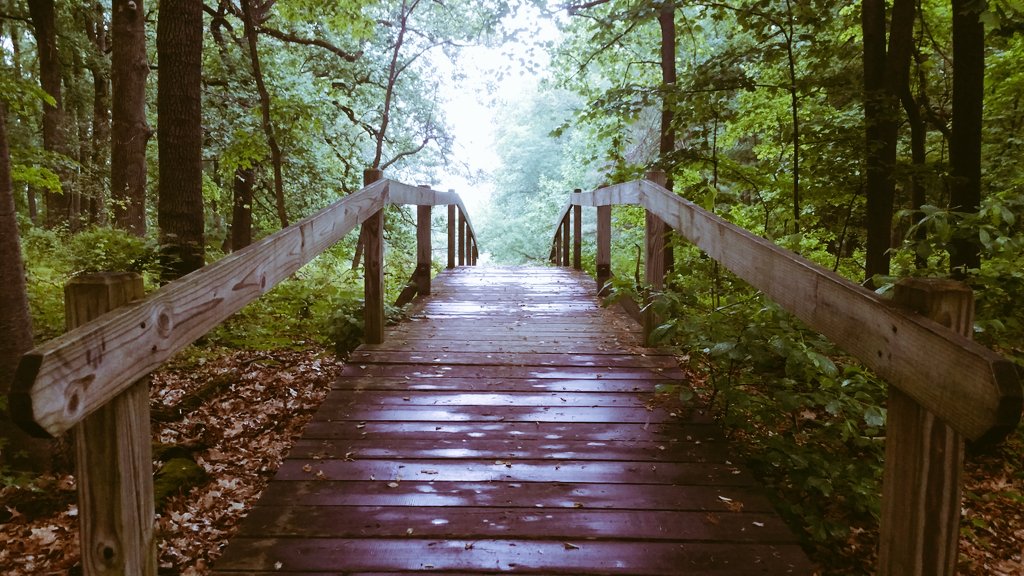 Walking Bridge at Valley Forge National Park