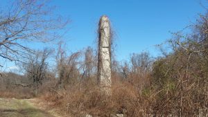 Mount Moriah cemetery vine-covered obelisk